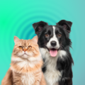 dogs_cats2